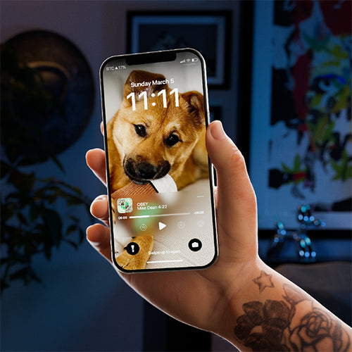 VSX Cell Phone Expansion